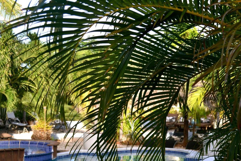 Bananas Apartments Adults Only Палм Бич Экстерьер фото